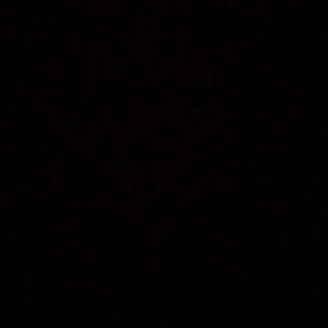 Meet your Posher, Frances